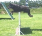Chenna 080706 sprong